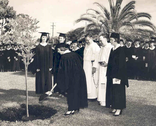Arbor Day, 1955